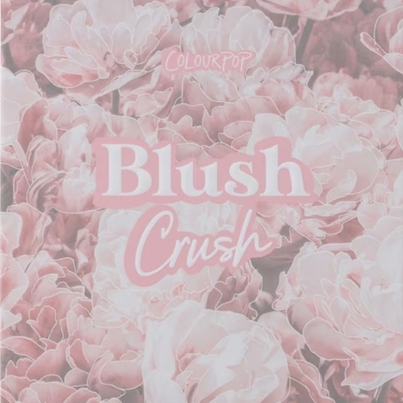 ColourPop Blush Crush Eyeshadow Palette - Picture 5 of 5